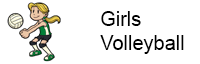 Diocese of Pittsburgh Elementary School Girls Volleyball Web Site